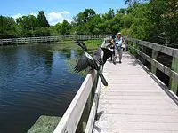 boardwalk