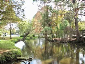 grounds