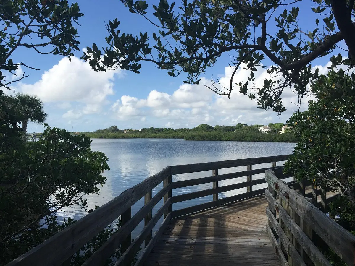indian rocks beach nature